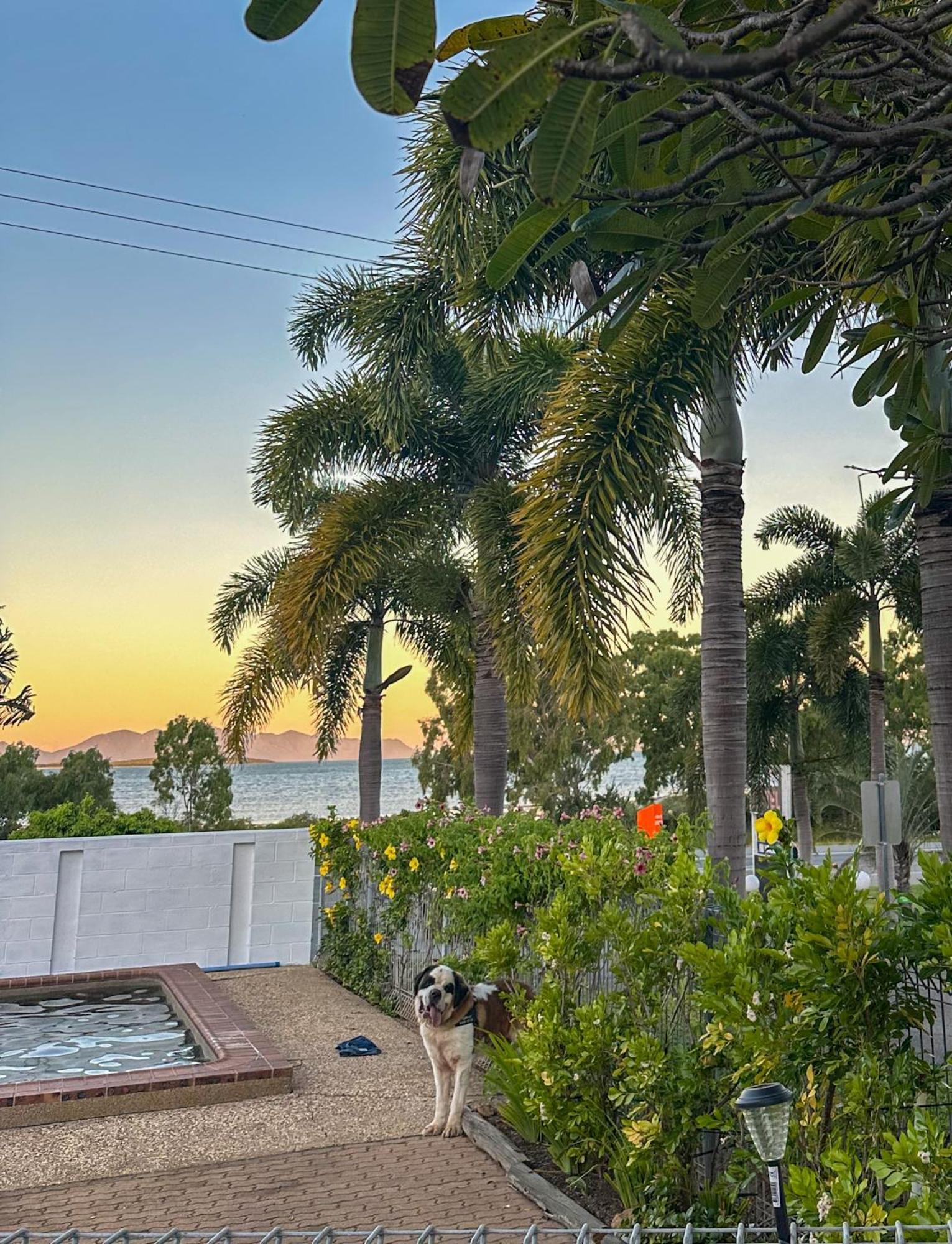 Ocean View Motel Bowen Esterno foto