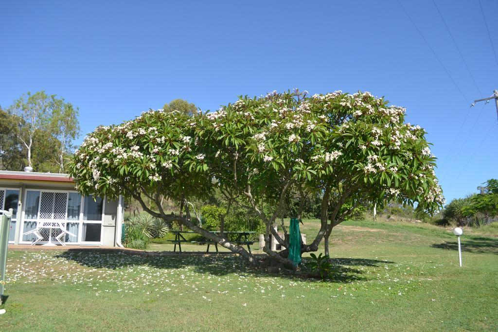 Ocean View Motel Bowen Esterno foto